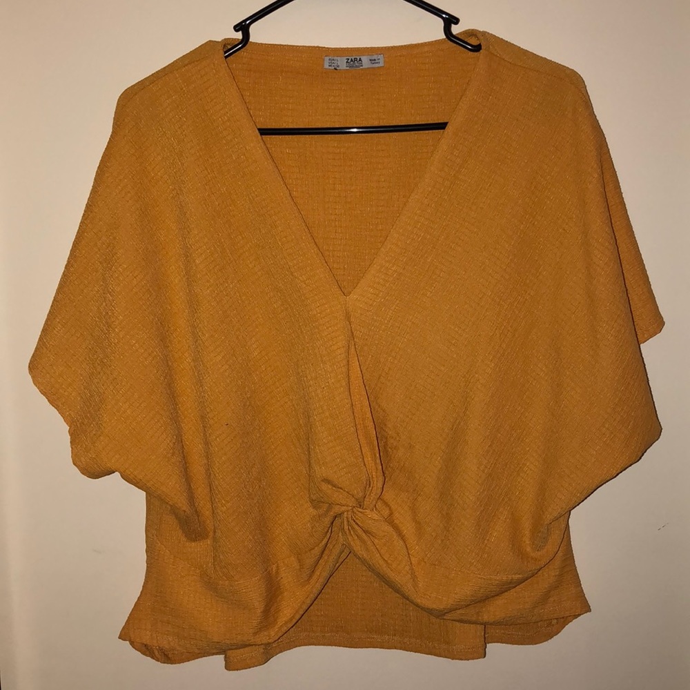 Zara crop top
